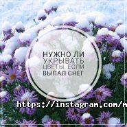 MarketSV, інтернет-магазин фото