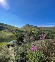 На валізах, агенция путешествий фото