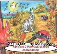 Detochki, центр раннього розвитку фото