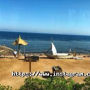 Best Travels, туристична агенція фото