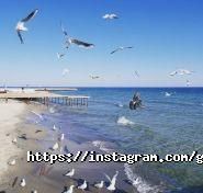 Фотостудія Flash Studio фото