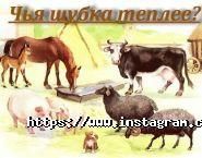 Detochki, центр раннього розвитку фото