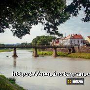 BLS, прокат і оренда авто фото