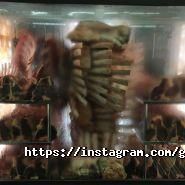 Талант, вокальна студія фото