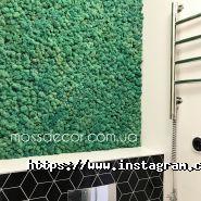 Moss Decor, доставка квітів фото