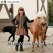 Тамерлан, кінний клуб фото