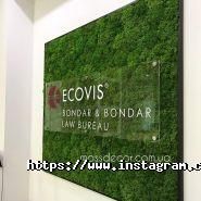 Moss Decor, доставка квітів фото