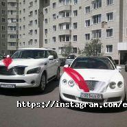 Elite life, транспортная компания фото