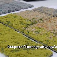 Arbores, салон покриття для підлоги та опалювальних рішень фото