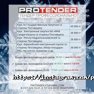 ProTender, компания фото