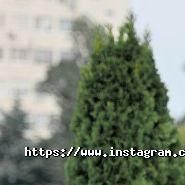 Allure, весільний салон фото