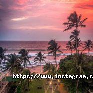 Артіфіка, туристична компанія фото