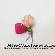 Salutem, медицинский центр фото