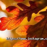 Міраж, готельно-ресторанний комплекс фото