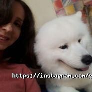 Волохатий звір, зоосалон фото