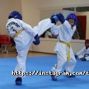 Федерация Традиционного Таэквон-До Itf фото