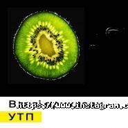 Zelios, розробка сайтів фото