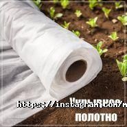 MarketSV, інтернет-магазин фото
