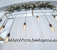 Пролісок, ресторан фото