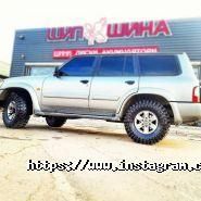 Шипшина, автомагазин фото