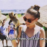 Артіфіка, туристична компанія фото