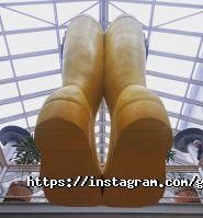 Фотостудія Flash Studio фото