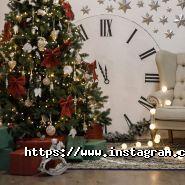 Selfie Studio, фотостудія фото