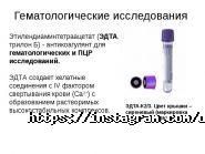 Diagnostic Group, ветклиника фото