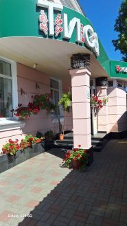 Тиса, кафе фото