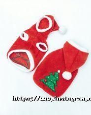 Groomerie, зоосалон фото