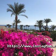 Best Travels, туристична агенція фото