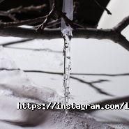 Lily of the Valley Home, шоу-рум фото