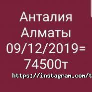 Troya Travel, туристское агентство фото