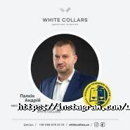 White collars, адвокатське об'єднання фото
