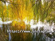 Фотограф Anatolii.photo.UP фото