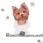 Hillel, компьютерная школа фото