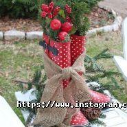 Ogurki, все для саду та городу фото