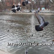 Samadhi, центр йоги фото