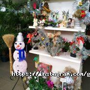 Сад Вашої мрії, садовий центр фото