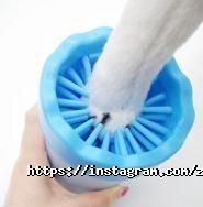 Київський зоопарк фото