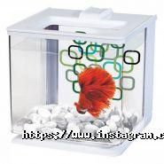 Южный, аквариумный центр фото