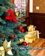 Маклауд паб, ірландський паб фото