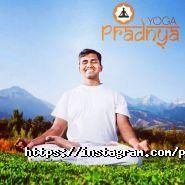 Pradnya Yoga, институт йоги фото