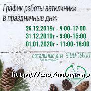 Абсолют, ветеринарний центр фото