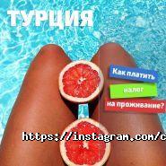 Караван, туристичне агентство фото