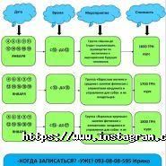 Center Zoo, мережа зоомагазинів фото