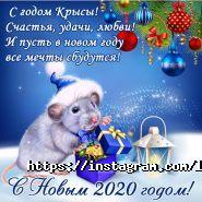 Little Step Almaty, детский образовательный центр фото