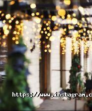 Арт-хаус, школа флористики фото