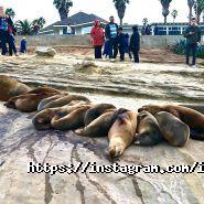 Nebo Travel, туристичне агентство фото