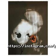 Golets, молодіжний одяг фото